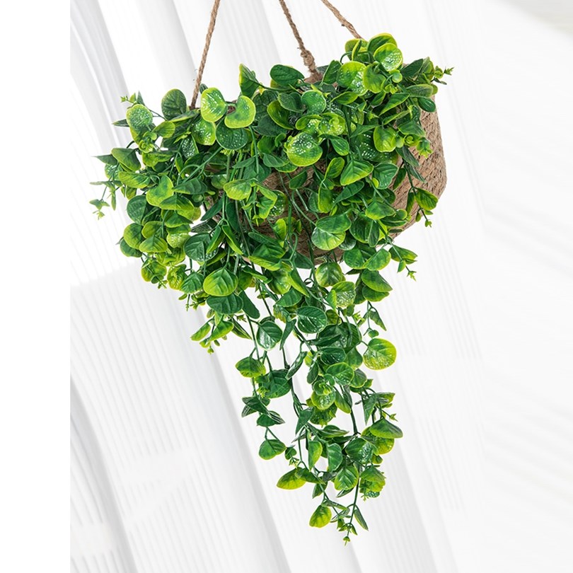 Eukalyptus-Farn-Rattan Künstli – Rattan Plant Basket Bewertung und Preis