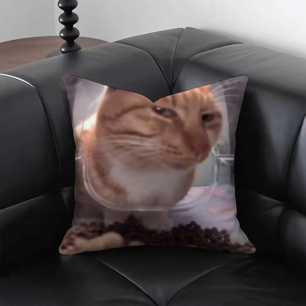 Lustige Katze M-Meme Kissenbez – Home Decor Emoji Bewertung und Preis