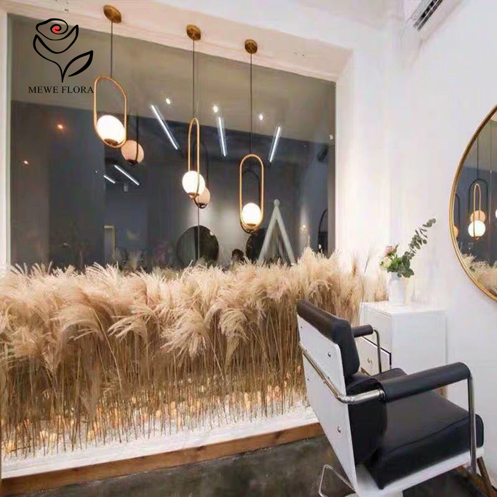 200 Stück natürliche getrockne – Pampas Grass Decor Bewertung und Preis