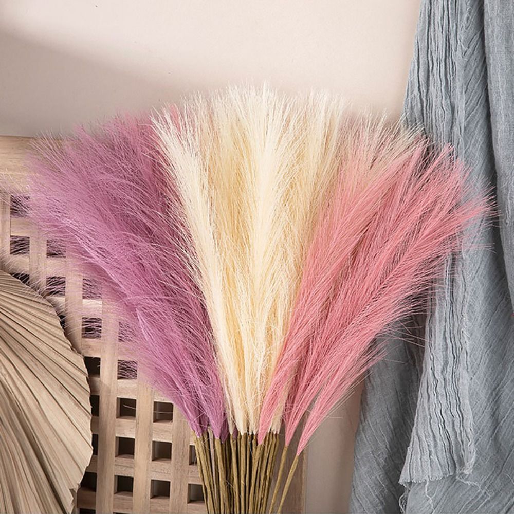 10 Stück/Set Wohndekor Flausch – Pampas Grass Decor Bewertung und Preis