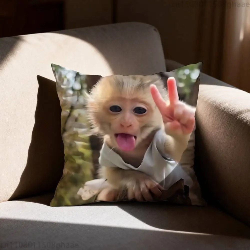 Lustiger Meme-Affen-Kissenbezu – Home Decor Emoji Bewertung und Preis