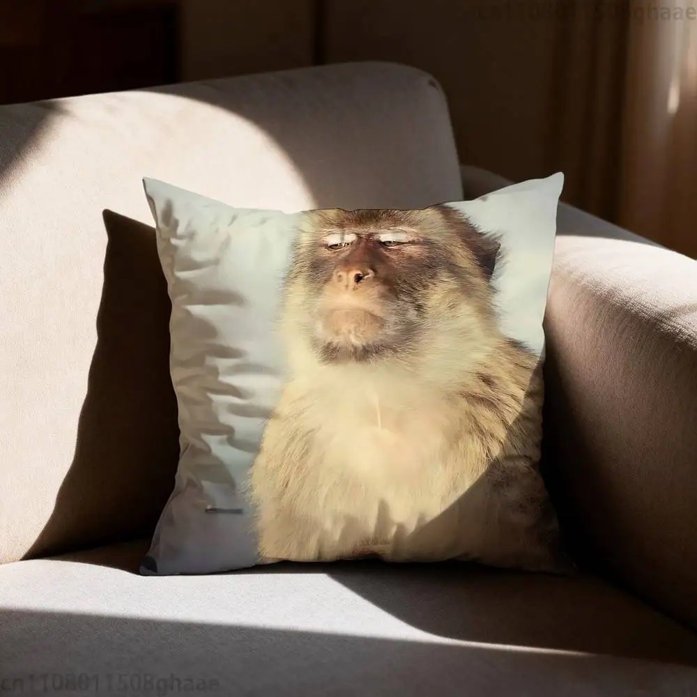 Lustiger Meme-Affen-Kissenbezu – Home Decor Emoji Bewertung und Preis