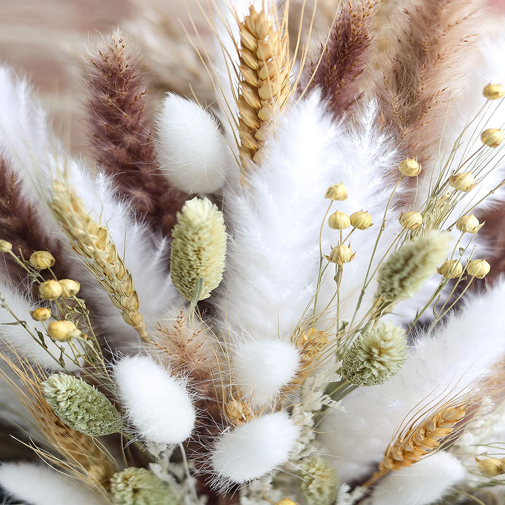 100 Stück getrockneter Pampasg – Pampas Grass Decor Bewertung und Preis