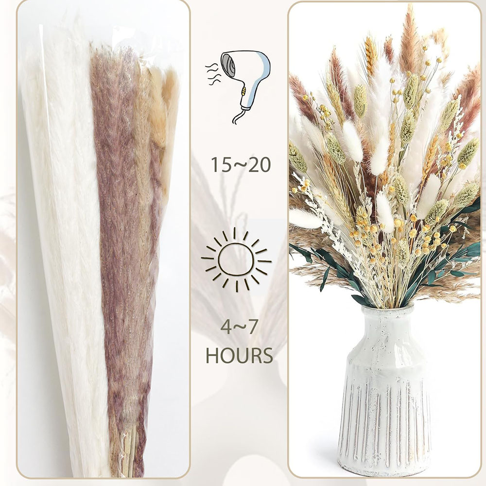100 Stück getrockneter Pampasg – Pampas Grass Decor Bewertung und Preis