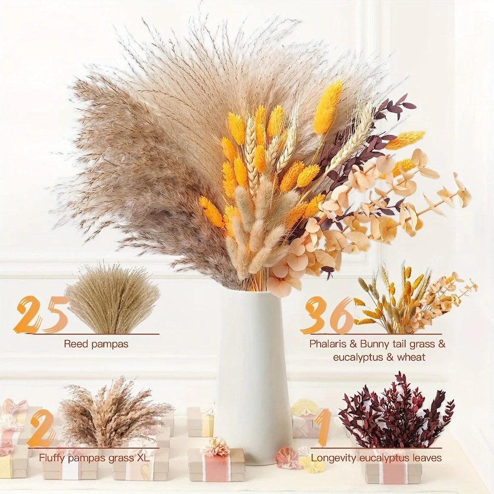 80 Stück natürliche getrocknet – Pampas Grass Decor Bewertung und Preis