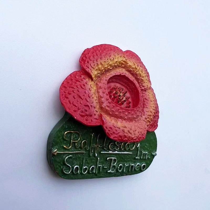 Malaysia Sabah Borneo Rafflesi – Home Decor Malaysia Bewertung und Preis