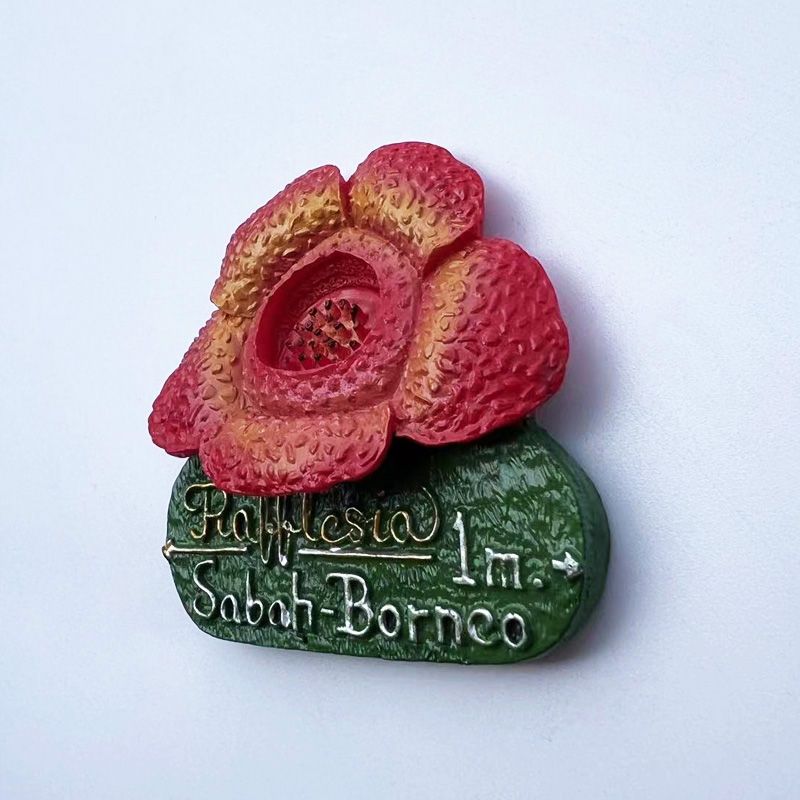 Malaysia Sabah Borneo Rafflesi – Home Decor Malaysia Bewertung und Preis