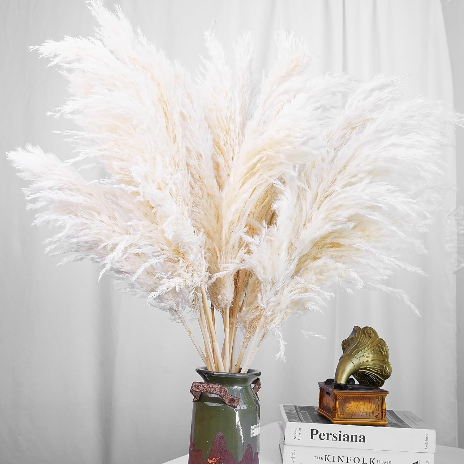 30 Stück Weißes Pampasgras für – Pampas Grass Decor Bewertung und Preis