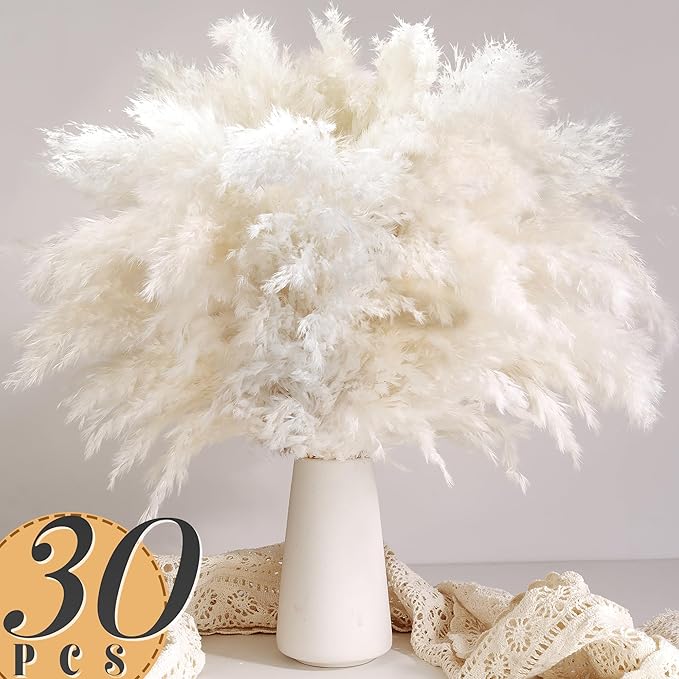 30 Stück Weißes Pampasgras für – Pampas Grass Decor Bewertung und Preis