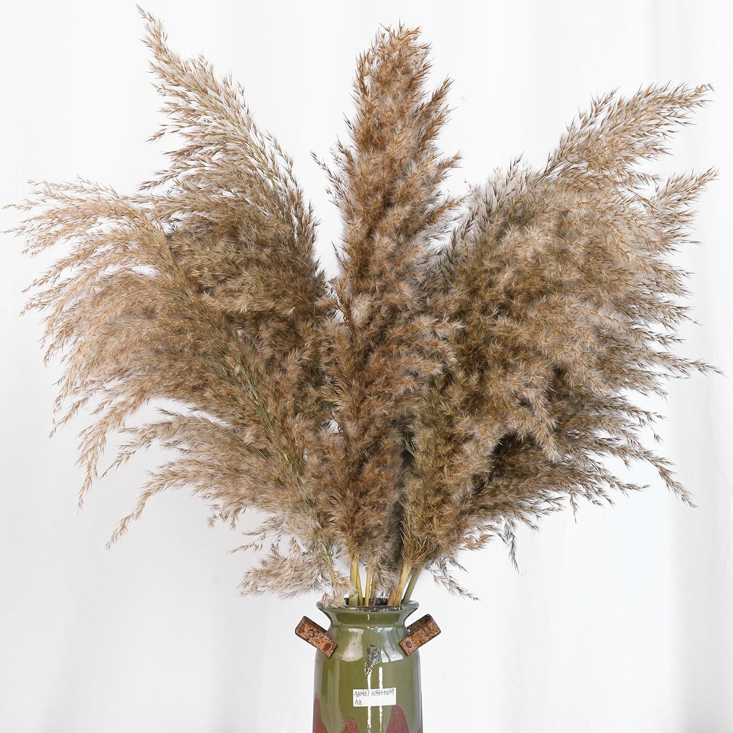 30 Stück Weißes Pampasgras für – Pampas Grass Decor Bewertung und Preis