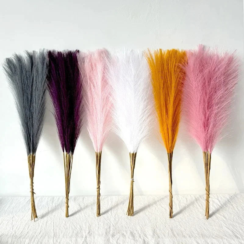 55CM Pampasgras im Nordischen  – Pampas Grass Decor Bewertung und Preis