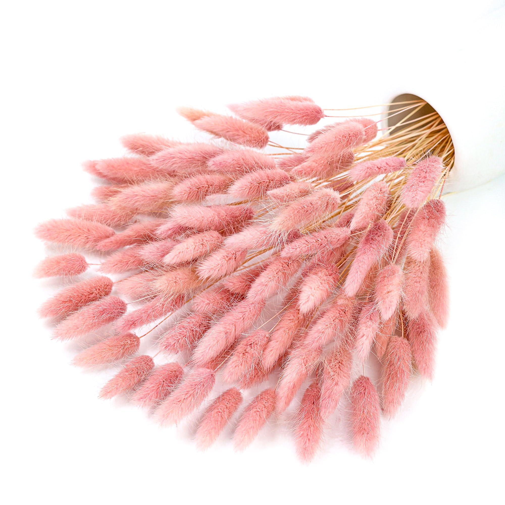 120-Stiel rosa getrocknete Pam – Pampas Grass Decor Bewertung und Preis