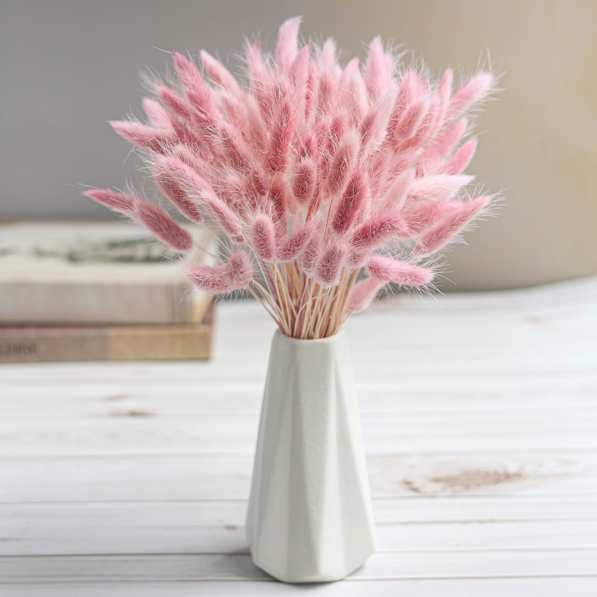 120-Stiel rosa getrocknete Pam – Pampas Grass Decor Bewertung und Preis