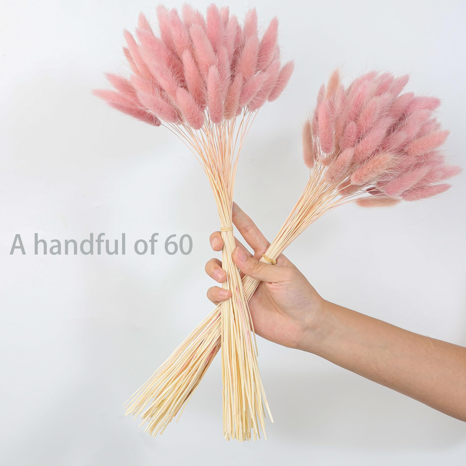 120-Stiel rosa getrocknete Pam – Pampas Grass Decor Bewertung und Preis