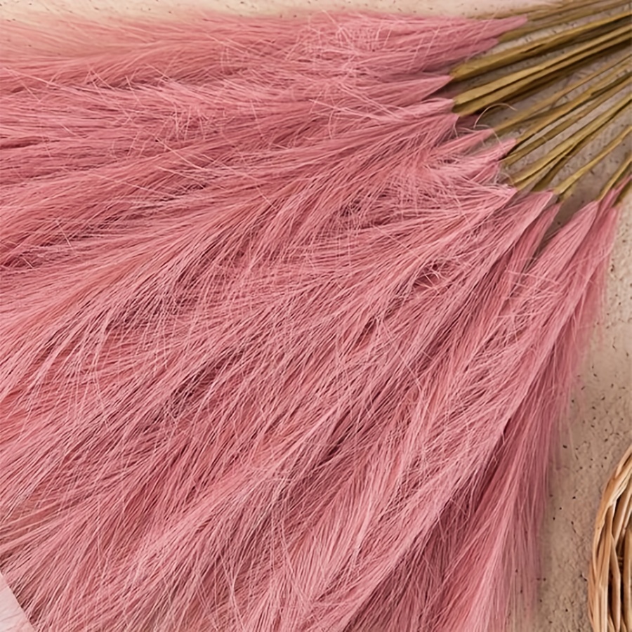 10pc künstliche Pampa Gras Sim – Pampas Grass Decor Bewertung und Preis