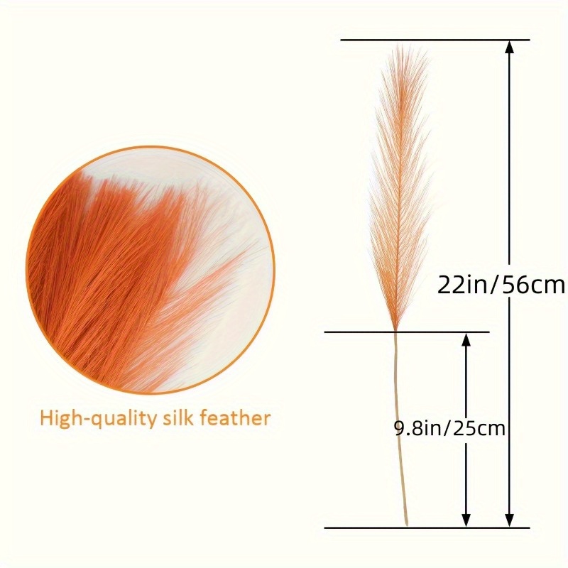 10 Stück Lebendiges Orange Pam – Pampas Grass Decor Bewertung und Preis
